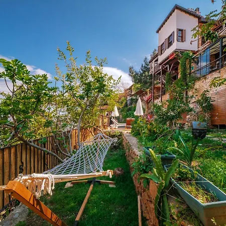 酒店 图尔卡别墅酒店