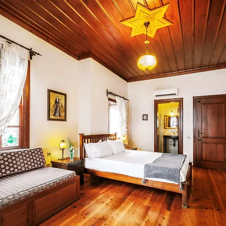 酒店 图尔卡别墅酒店 阿拉尼亚