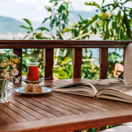 Hotel Turka Alanya