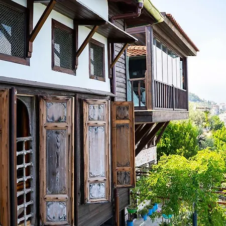 Hotel Turka