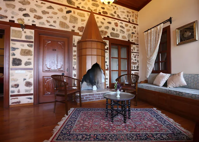 Hotel Turka