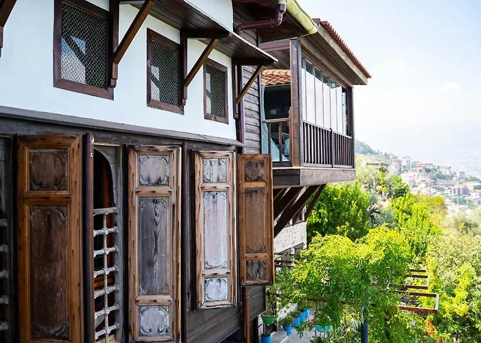 Hotel Turka