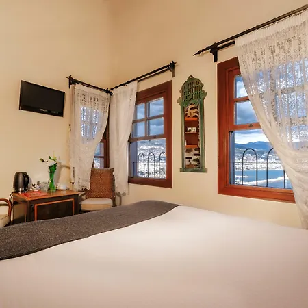 Hotel Turka